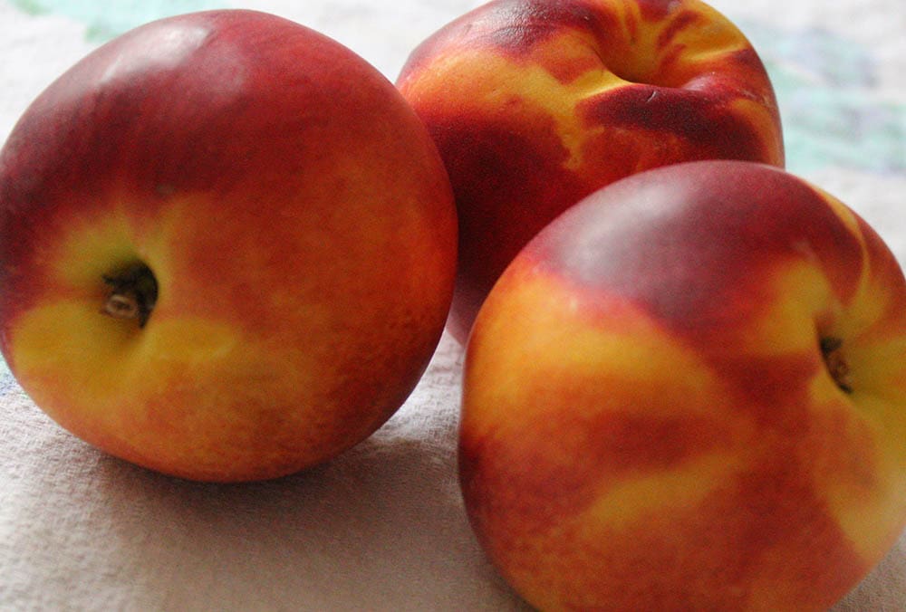 ripe and healthy nectarine fruits