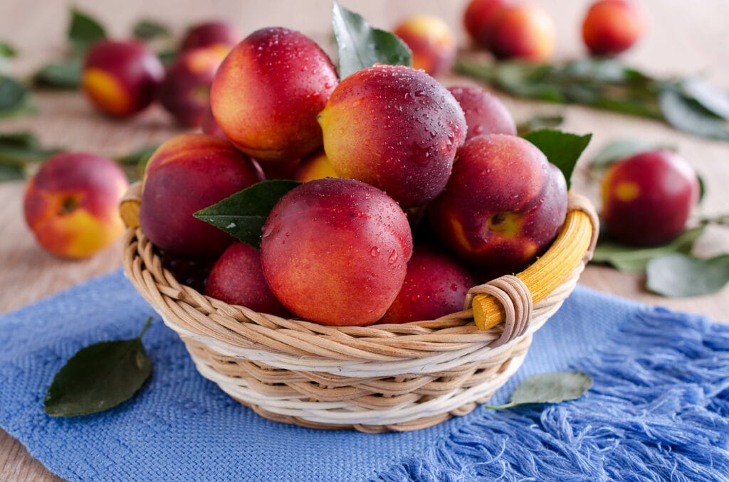 riped small nectarines