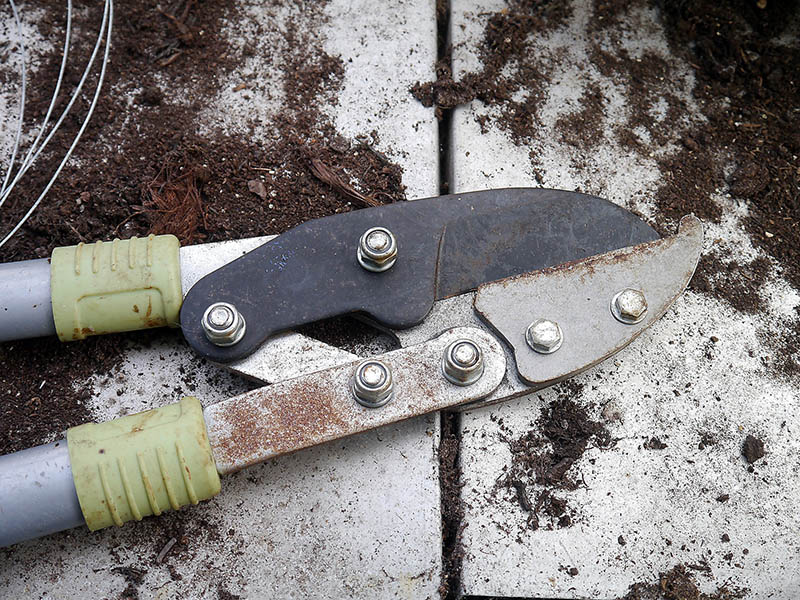secateurs tool for gardening