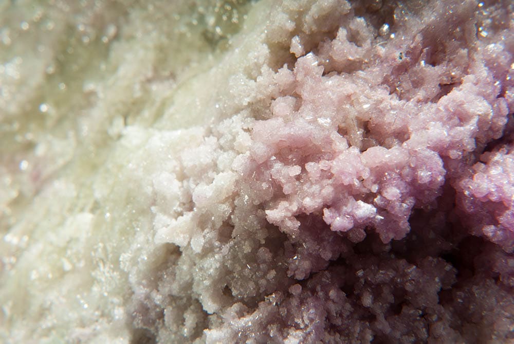 serpentine pink Asbestos