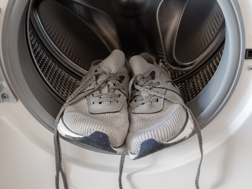 shoes inside dryer