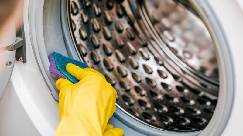 sponge cleaning the rubber drum gasket washing machine