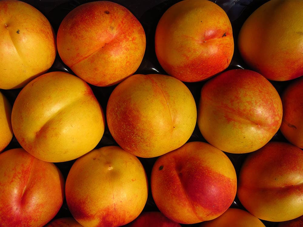 yummy nectarine fruits
