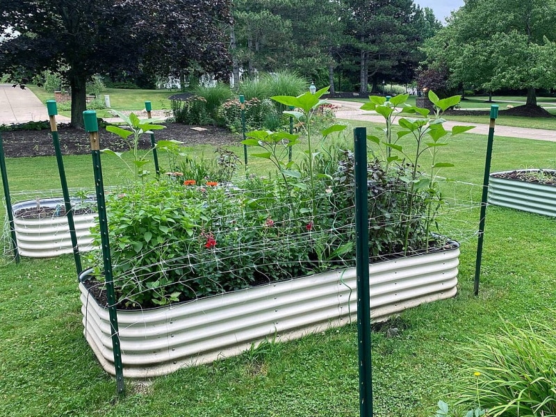 10-in-1 Modular Metal Raised Garden Bed Kit