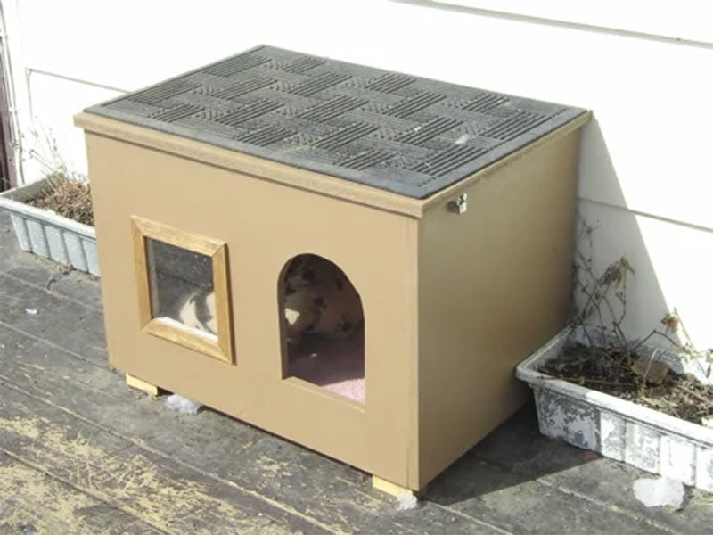 2x2 Cat House