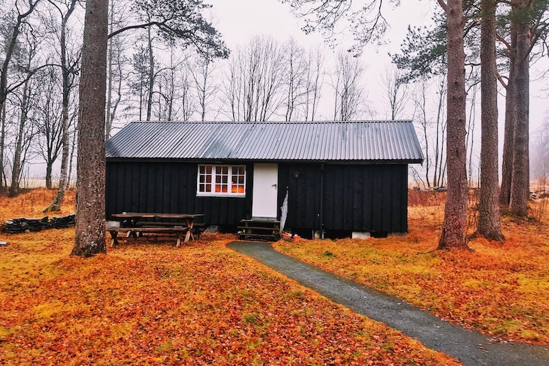 A shipping container home in the woods