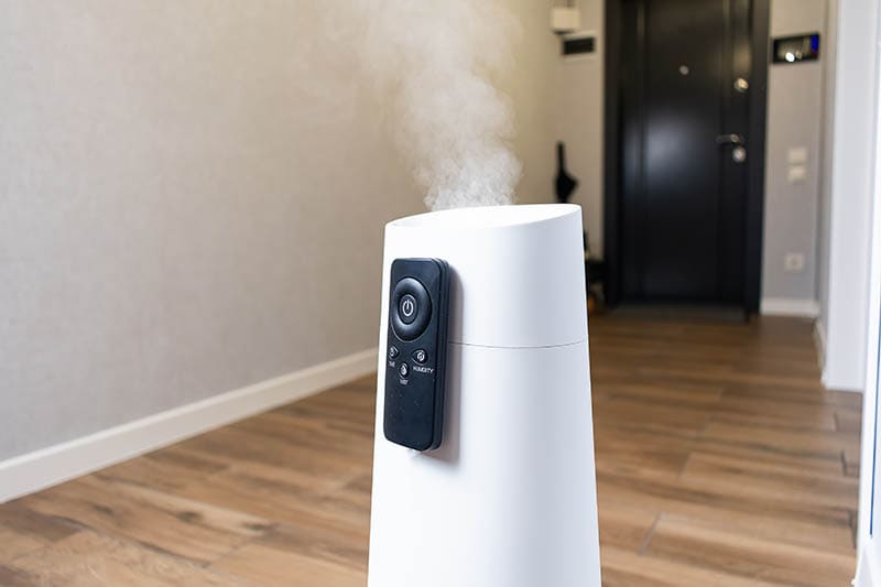 air purifier with remote in the house
