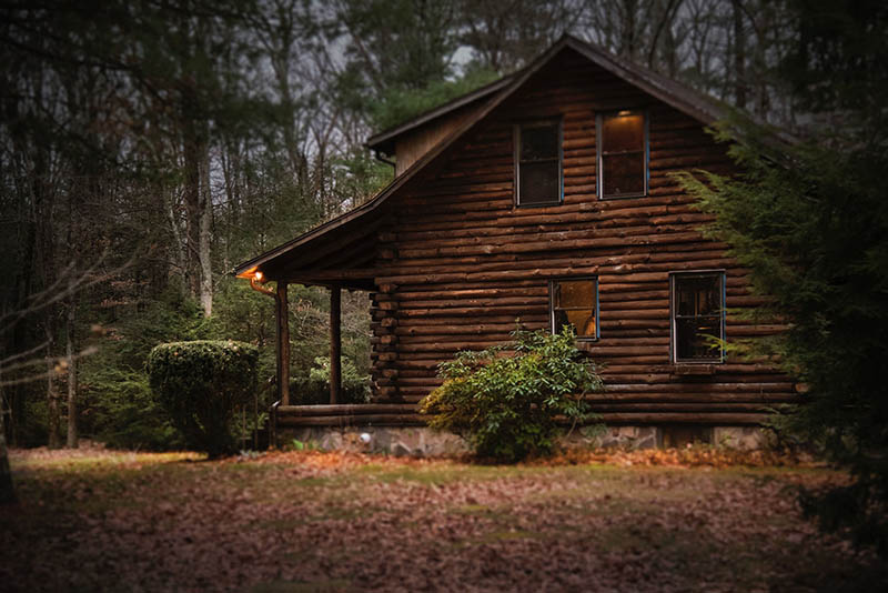 Brown Cabin in the Woods on Daytime log house