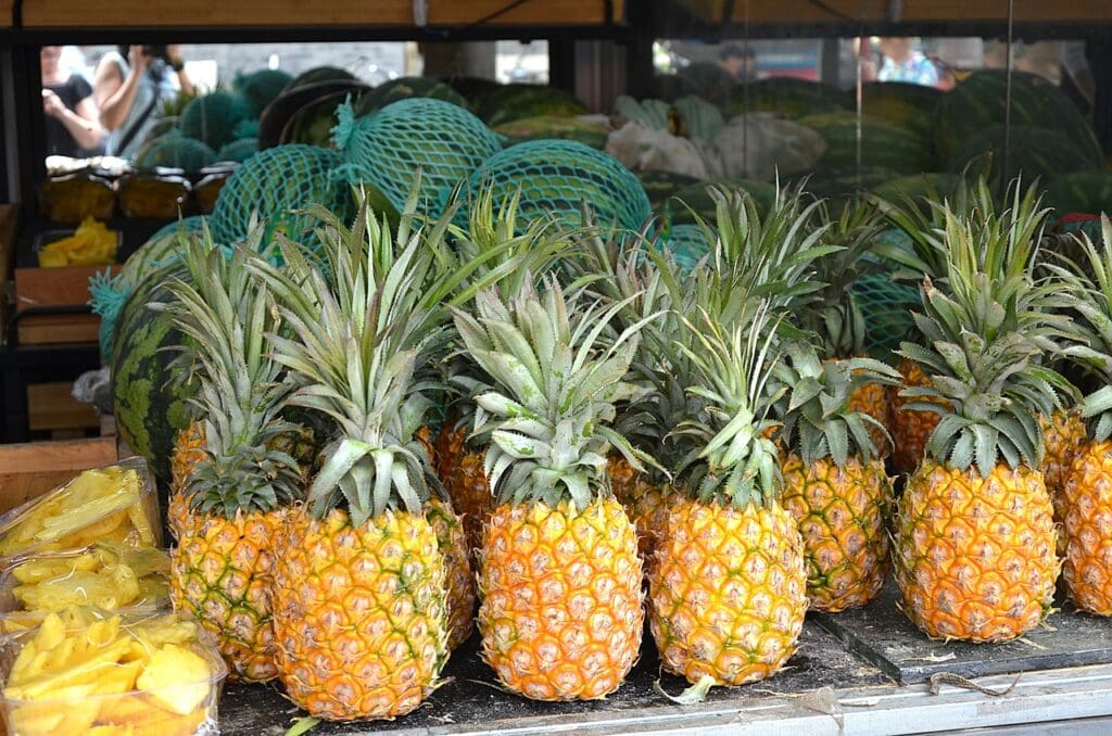 Cayena Lisa Pineapple