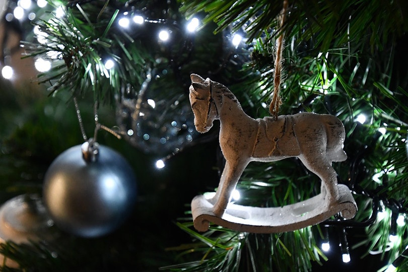 Christmas Light Decor