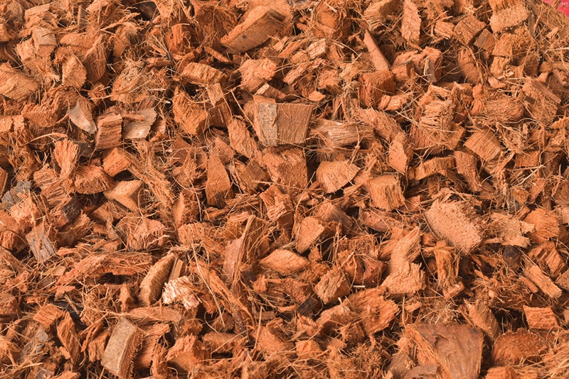 Coconut Mulch