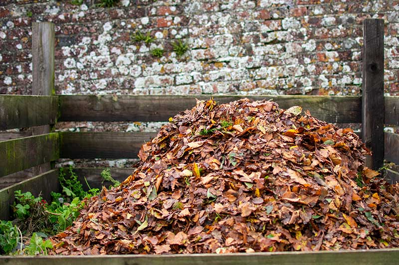 Compost full of dried autumn coloured leaves