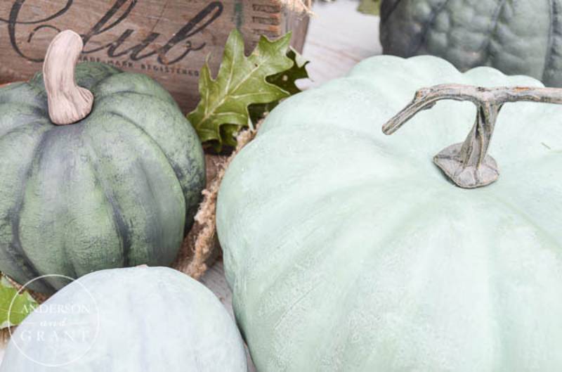 DIY dry brushed chalk painted pumpkins
