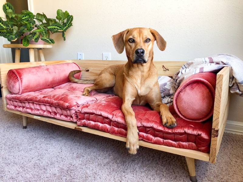 DIY pet bed