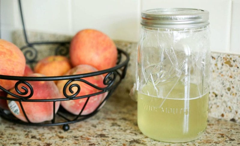 Do It Yourself Homemade Fly Trap