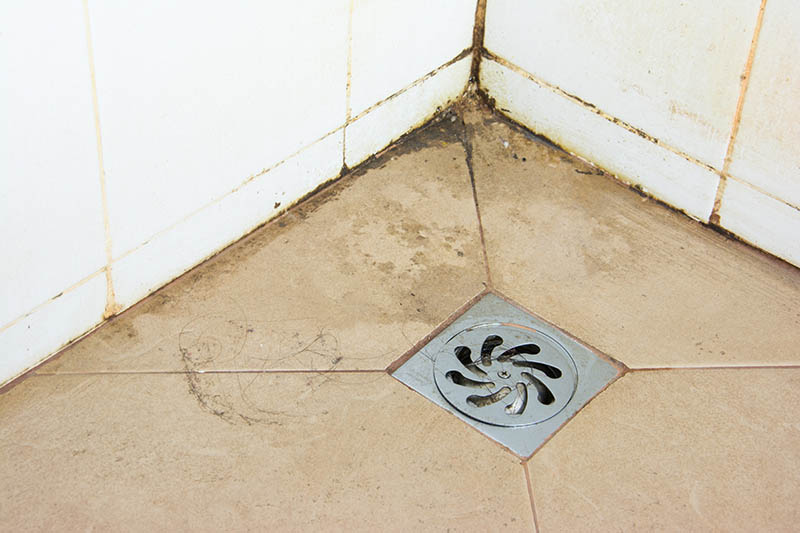 Drain dirty bathrooms