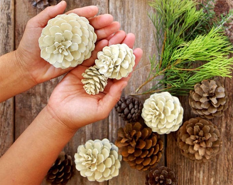 Easiest 5-Minute Bleached Pinecones