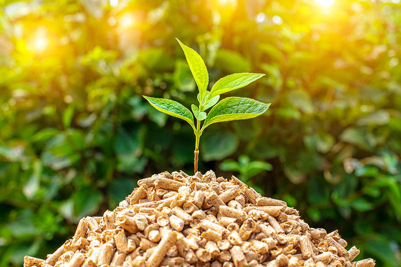 Eco-sustainable biomass concept.