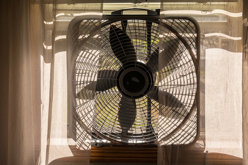 Electric Box Fan