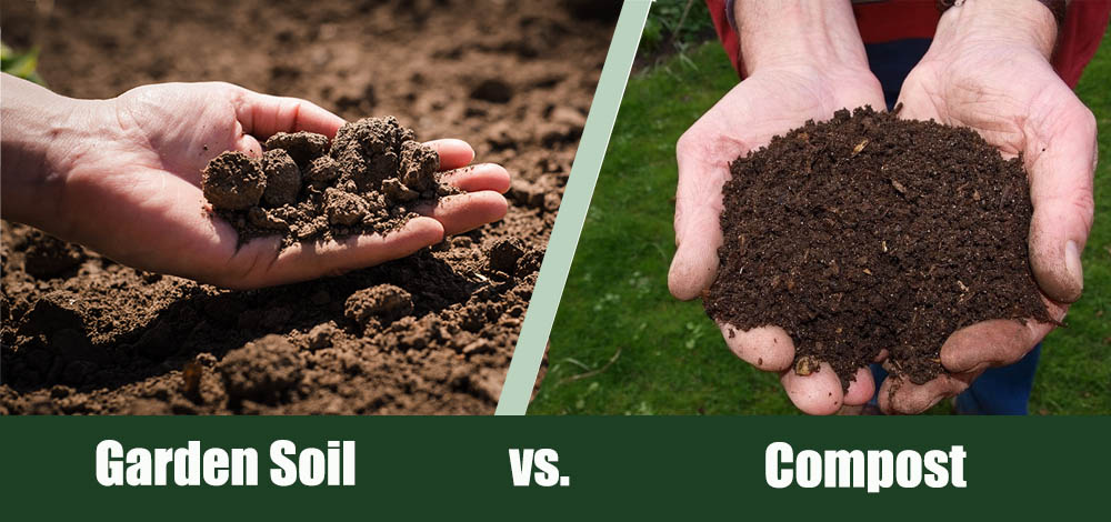 Garden Soil vs Compost