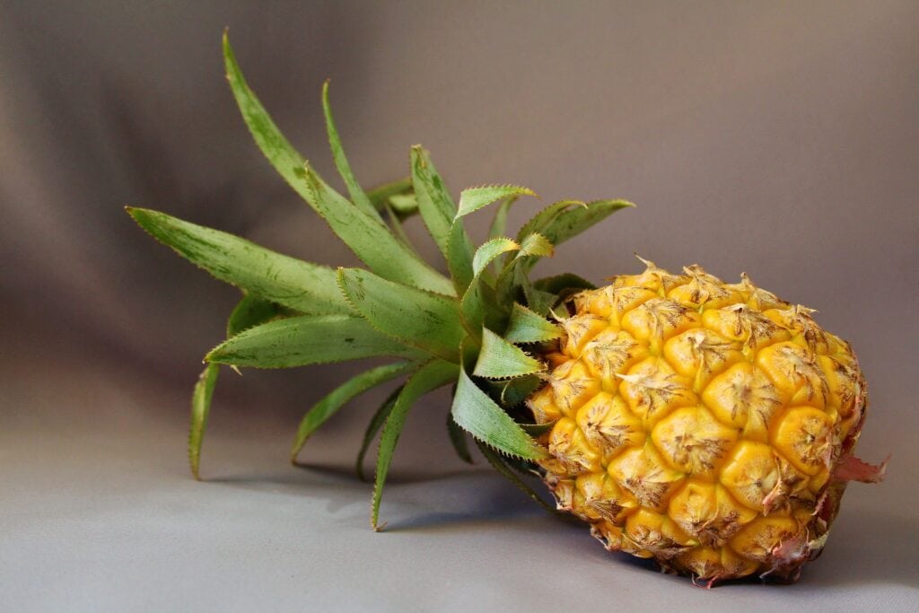 Maipure Pineapple