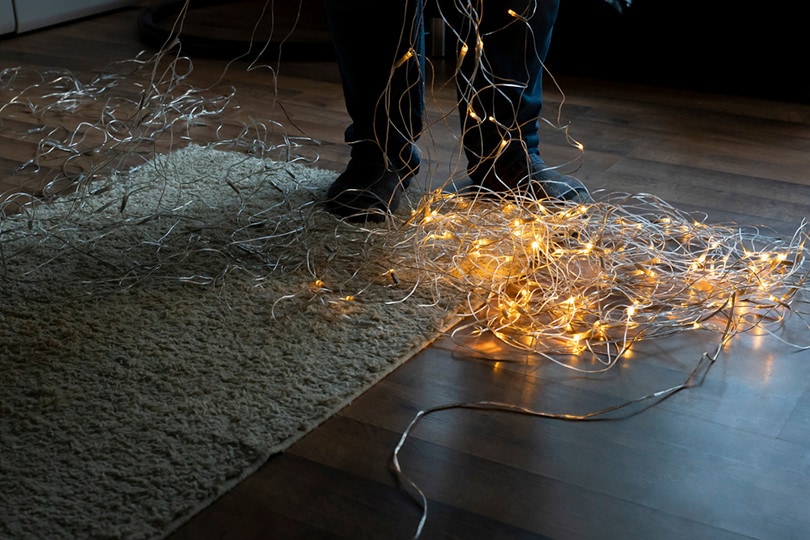 Man Fixing Christmas Lights