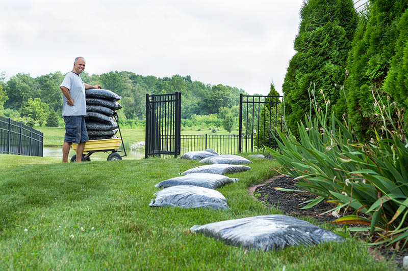 Man Mulching Alone his Grassy House Backyard with Bagged Mulch