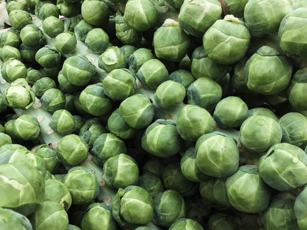 Mighty Brussels Sprout