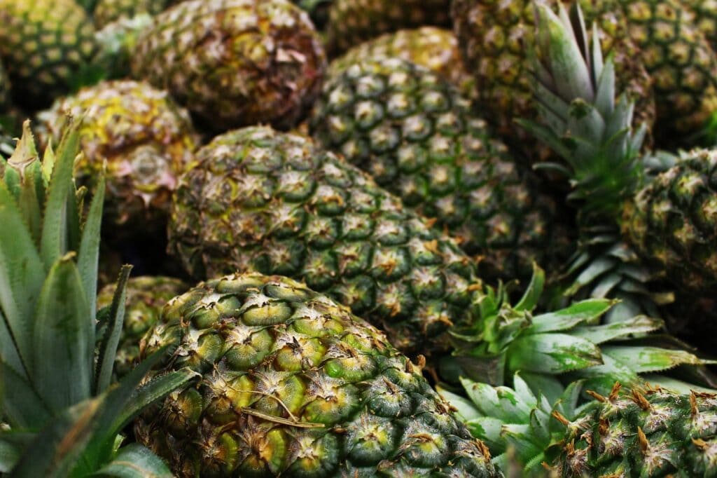 Montufar Pineapple