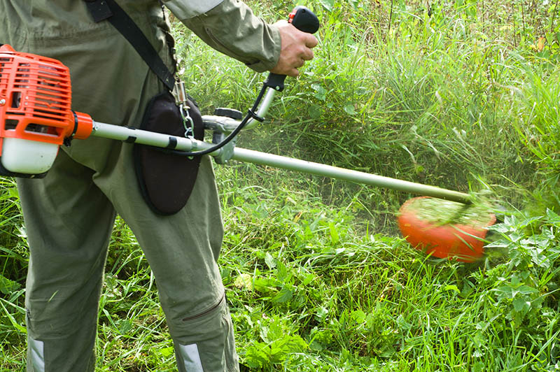 Mowing the grass using string trimmer