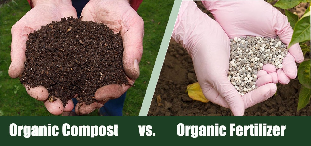 Organic Compost vs. Organic Fertilizer