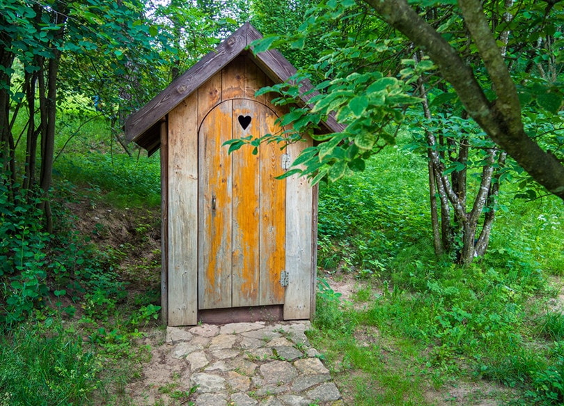 Outdoor Composting Toilet