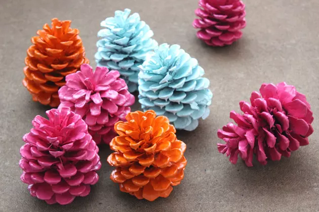 Painted pine cones