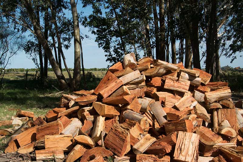 Pile of wood waste