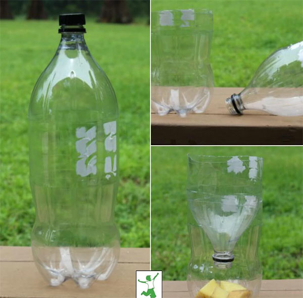 Quick and Easy Homemade Fly Trap