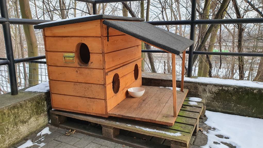 Roomy Pallet Dog Kennel