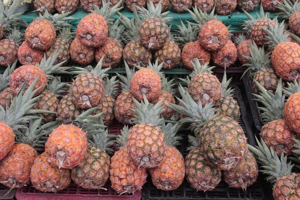 St. Michael Pineapple