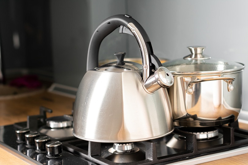 Stainless Steel Kettle