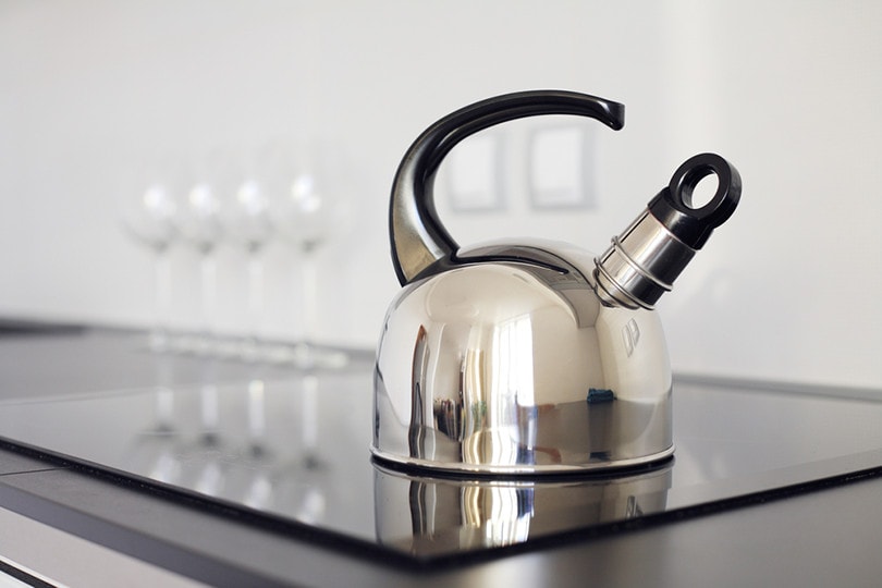 Stainless Steel Kettles