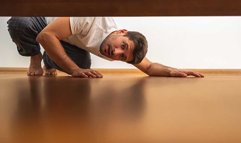 The fellow looking under the bed