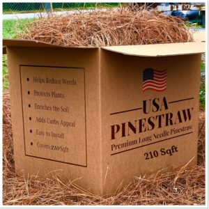 USA Pine Straw