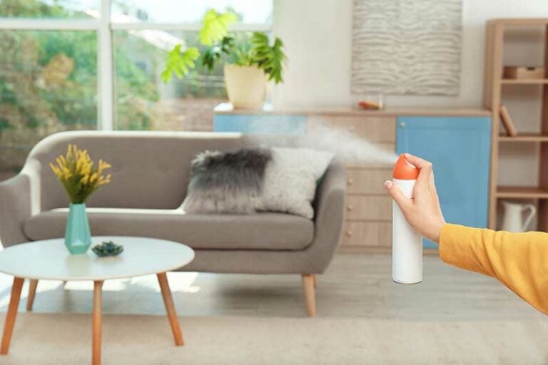 How to Get Rid of Old House Smell - 12 Easy Methods | Home Grail