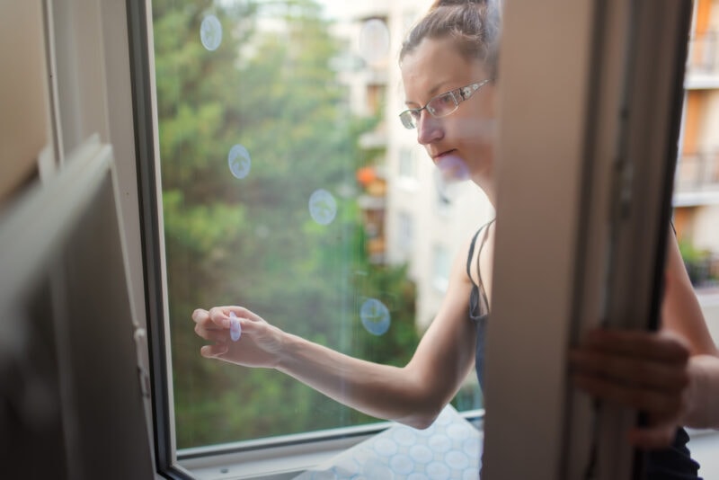 Woman sticking decals on windows for birds