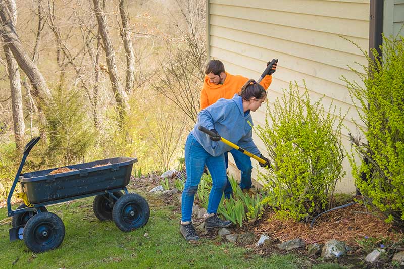 Young man and woman landscapers cleaning and mulching flower bed