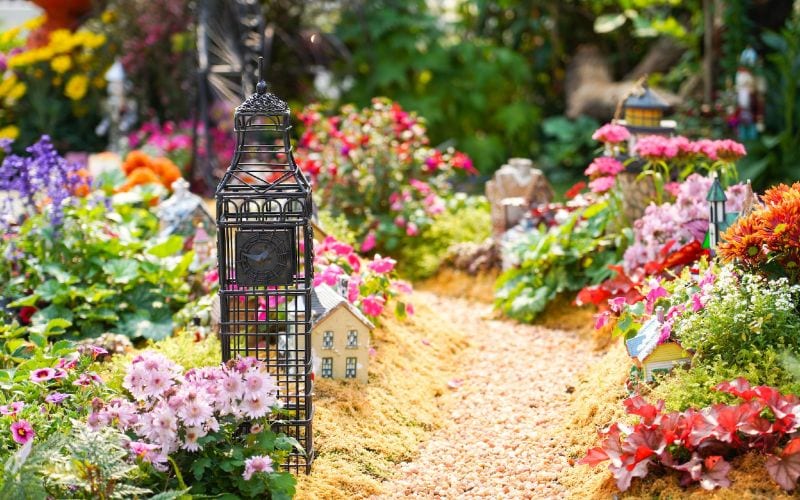 a flower garden in the sunlight