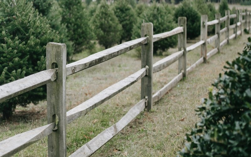 a row of wooden fence posts