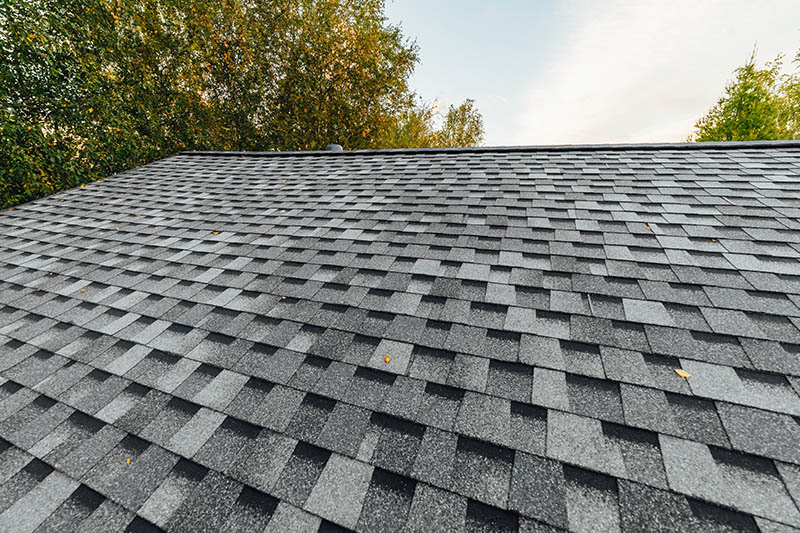 article shingles