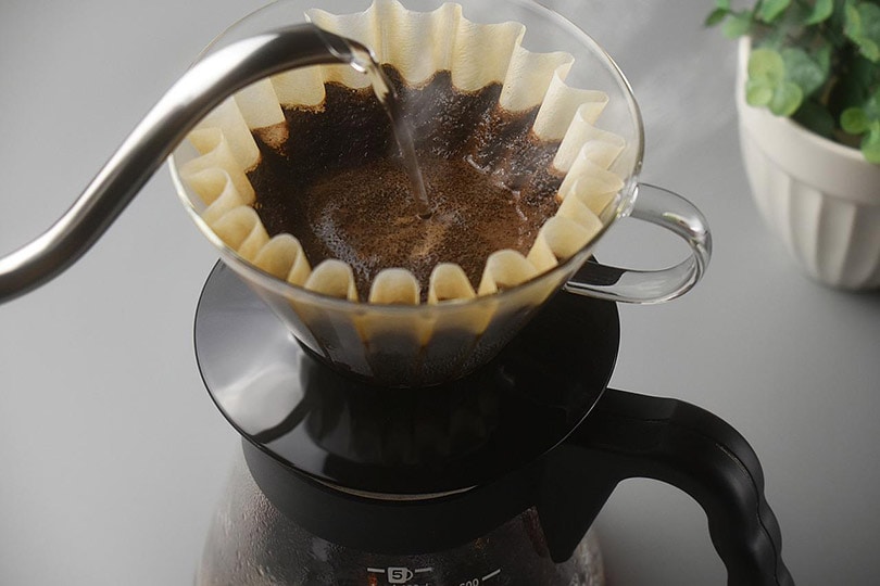 brewing coffee