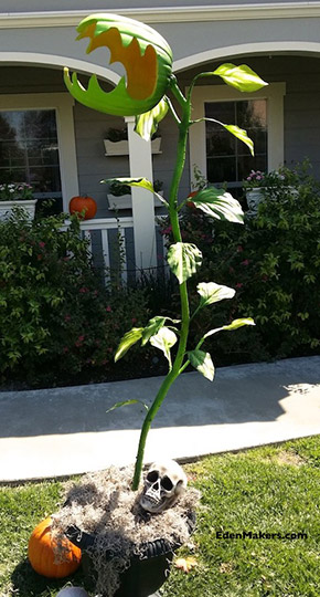 diy man-eating monster plant