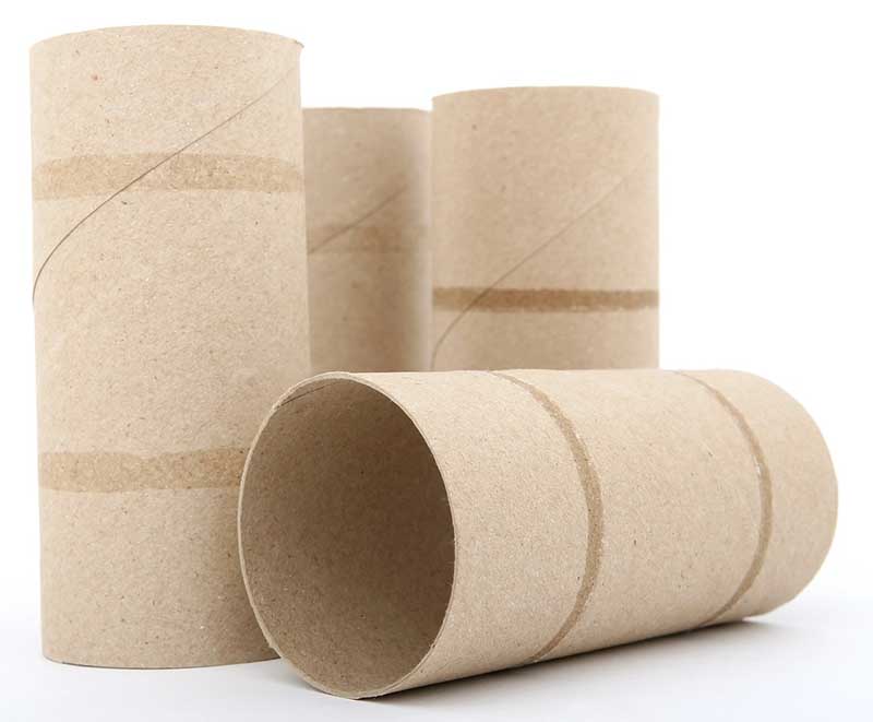 empty toilet paper roll